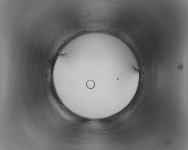X0000113180589200910161334