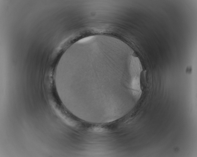 X0000113180590200910161334
