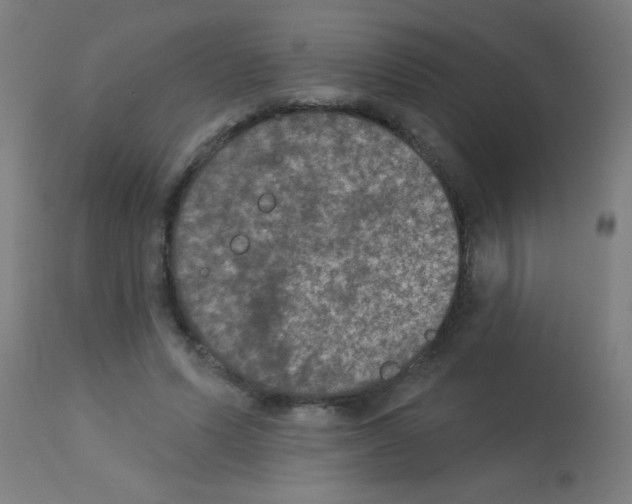 X0000113180591200910161334