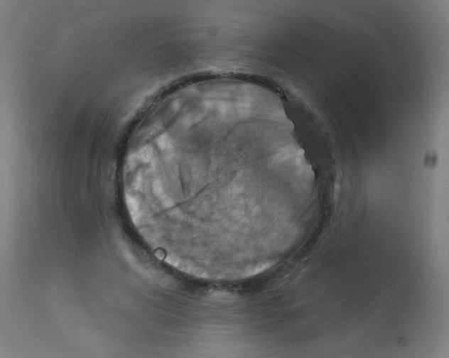 X0000113180592200910161334