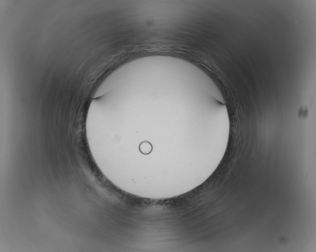 X0000113180593200910161334
