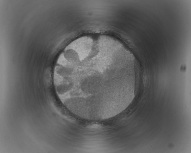 X0000113180594200910161334