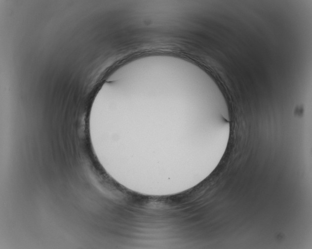X0000113180596200910161334