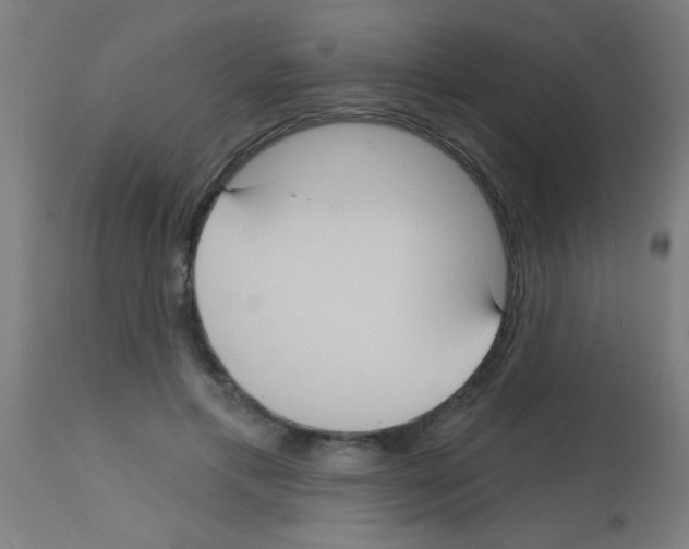 X0000113180597200910161334