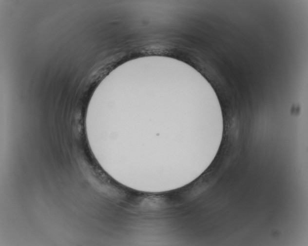 X0000113180599200910161334