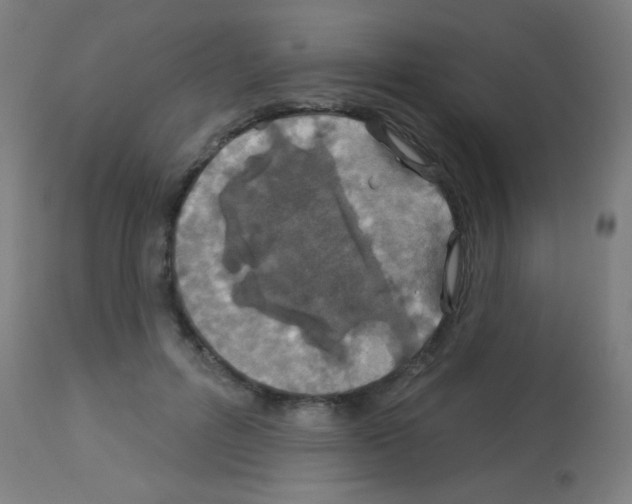 X0000113180600200910161334
