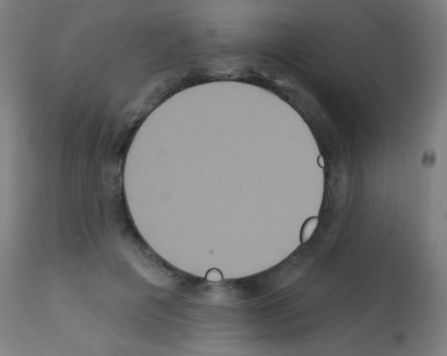 X0000113180601200910161334