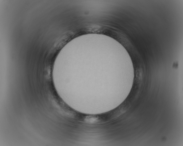 X0000113180602200910161334