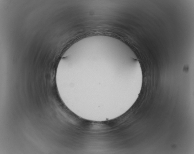 X0000113180605200910161334