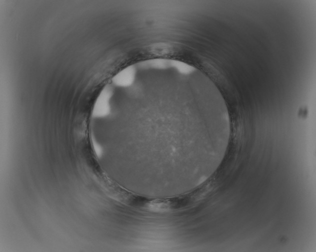 X0000113180606200910161334