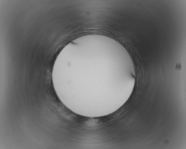 X0000113180609200910161334