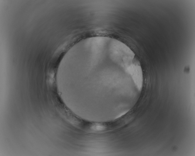 X0000113180610200910161334