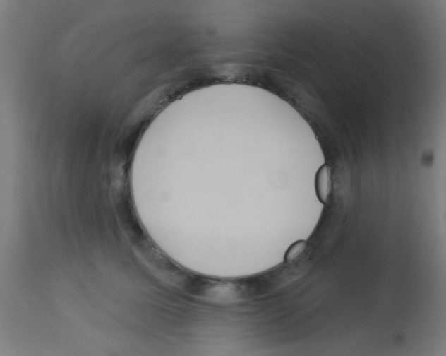 X0000113180611200910161334