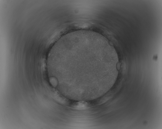 X0000113180612200910161334