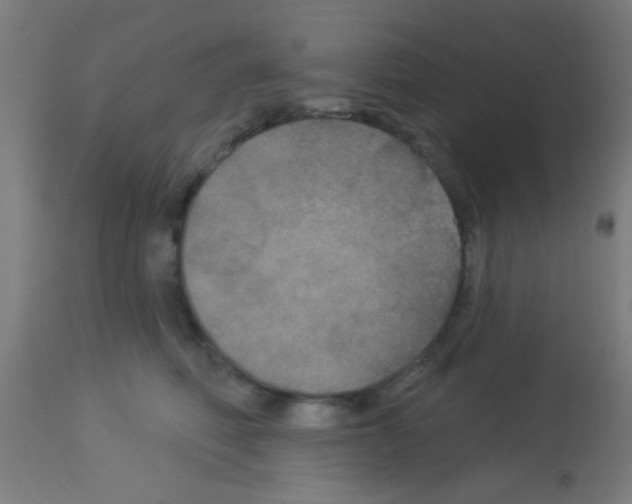 X0000113180614200910161334
