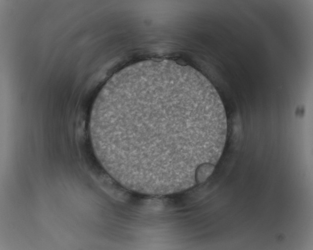 X0000113180615200910161334