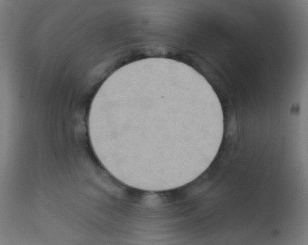 X0000113180616200910161333