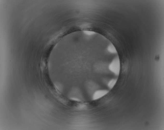 X0000113180618200910161333