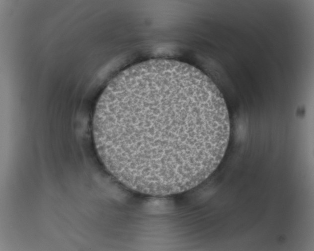 X0000113180619200910161333