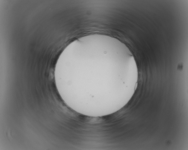 X0000113180621200910161333