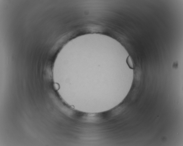 X0000113180622200910161333