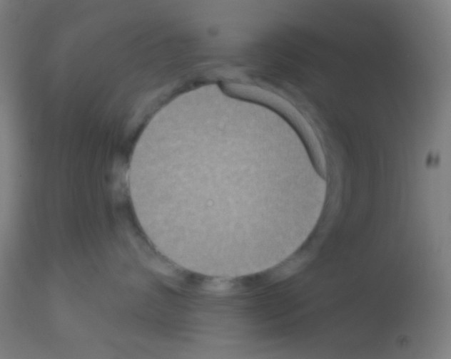 X0000113180624200910161333