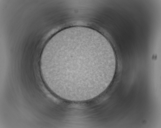 X0000113180625200910161332