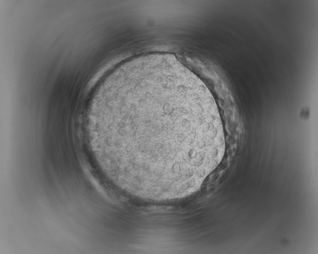 X0000113180626200910161332
