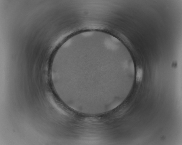 X0000113180627200910161332