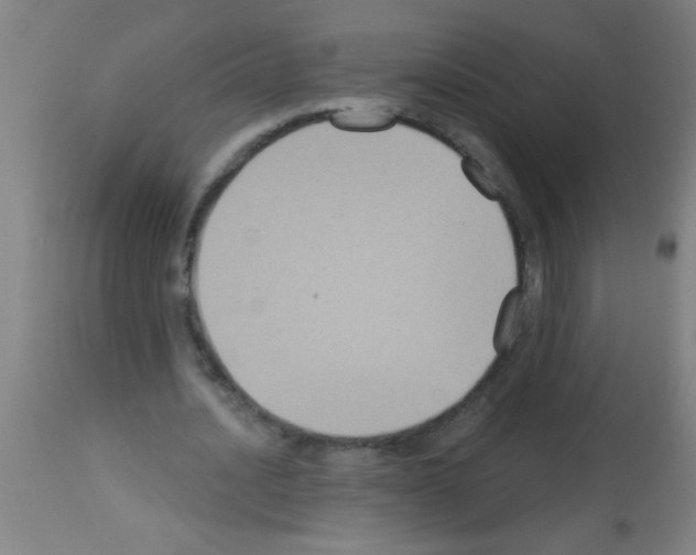 X0000113180628200910161332