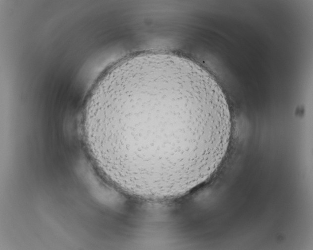 X0000113180632200910161332