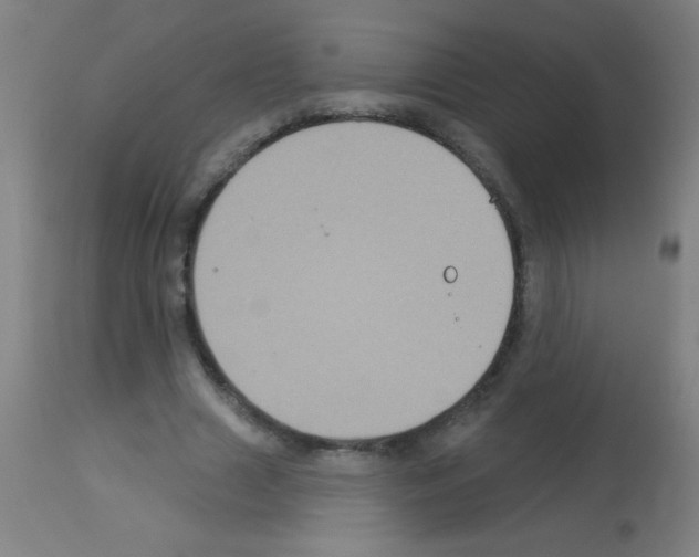 X0000113180633200910161332