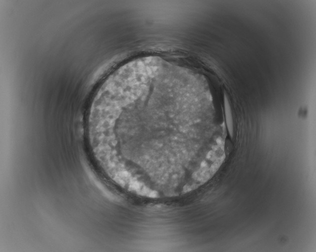 X0000113180634200910161333