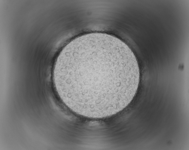 X0000113180635200910161333