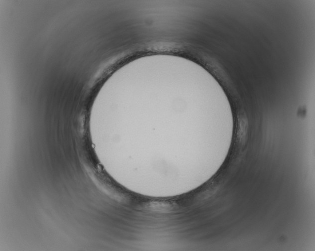 X0000113180636200910161333