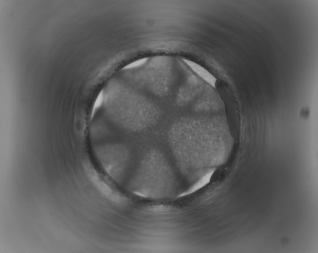 X0000113180637200910161333