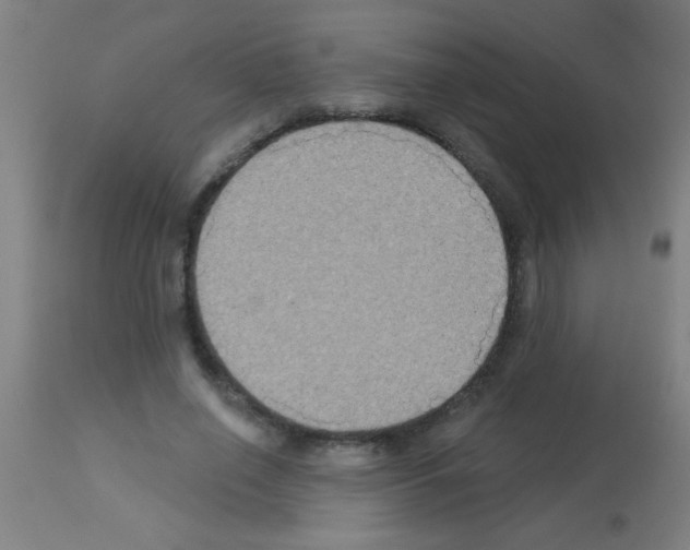 X0000113180638200910161333