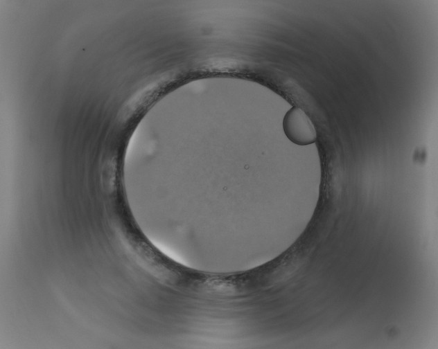 X0000113180640200910161333