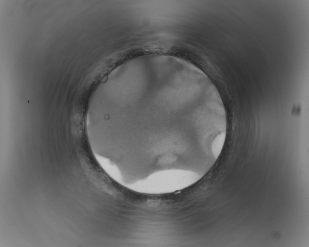 X0000113180641200910161333