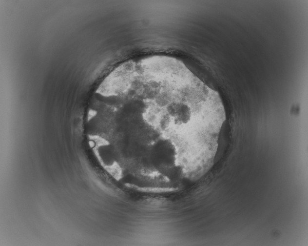 X0000113180642200910161333