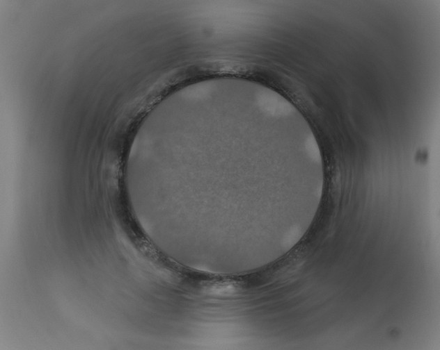 X0000113180643200910161333