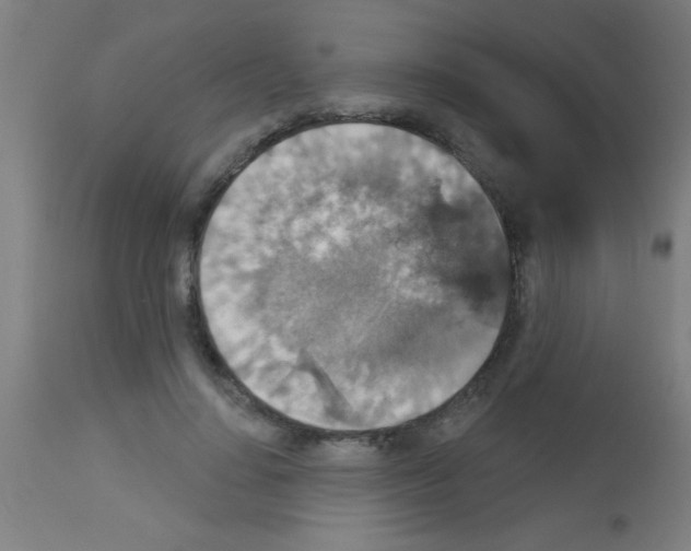 X0000113180644200910161333