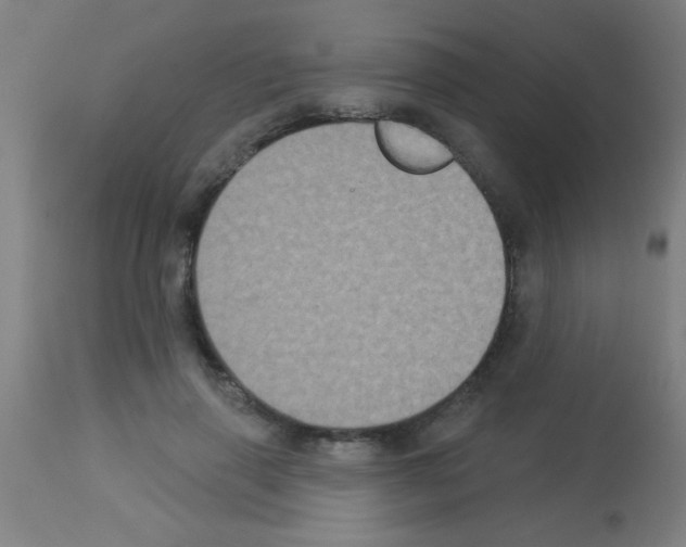 X0000113180645200910161333