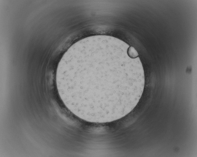 X0000113180646200910161333