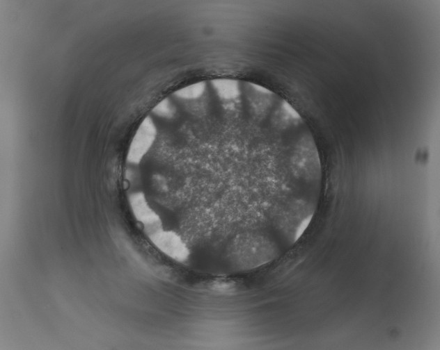 X0000113180647200910161333