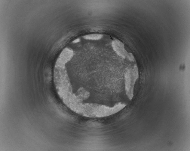 X0000113180648200910161333