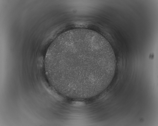 X0000113180649200910161333