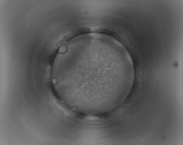 X0000113180650200910161333