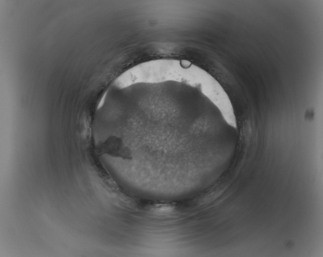 X0000113180651200910161333