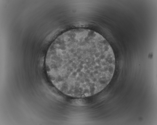 X0000113180652200910161333